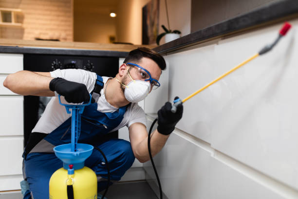 Best Local Pest Control Services  in Crozet, VA