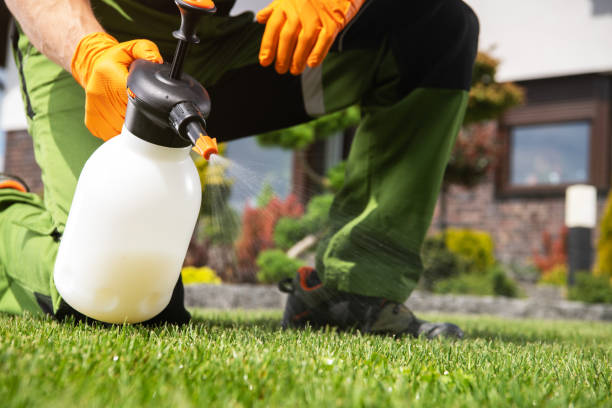 Best Exterminator Services  in Crozet, VA