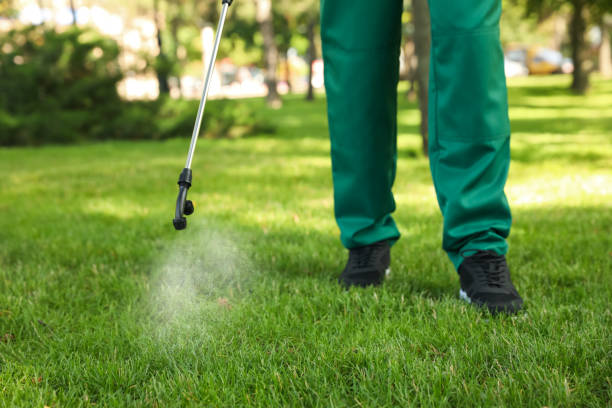 Best Pest Control Near Me in Crozet, VA