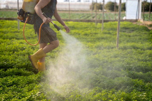 Best Best Pest Control Near Me  in Crozet, VA