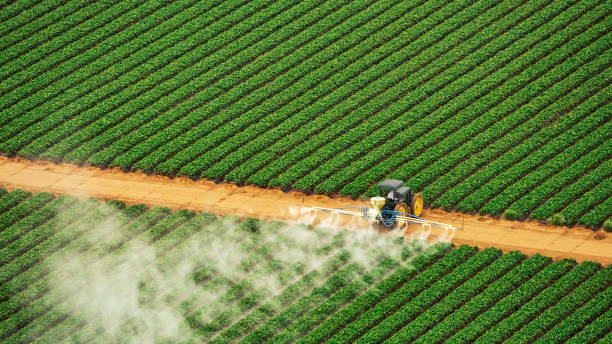 Best Pest Control Treatment  in Crozet, VA