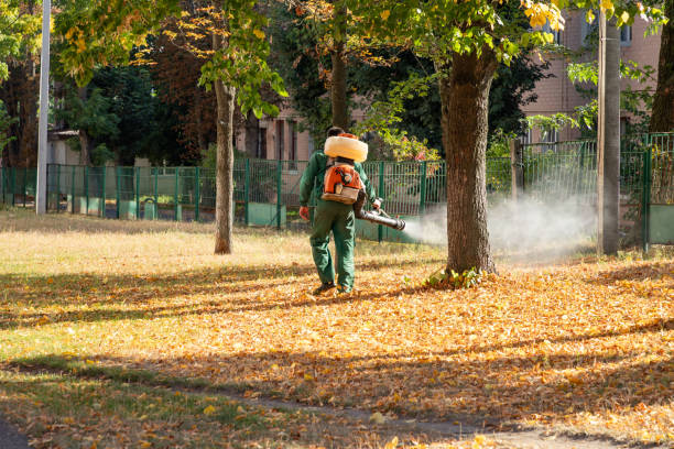 Reliable Crozet, VA Pest Control Solutions