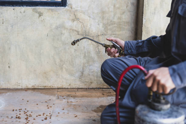Best Pest Prevention Services  in Crozet, VA