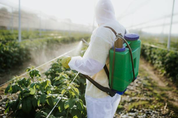Best Mosquito Control Services  in Crozet, VA